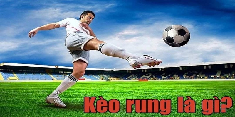 Kèo Rung Là Gì? Kinh Nghiệm, Chiến Thuật Bắt Kèo Rung 2025 Hiệu Quả